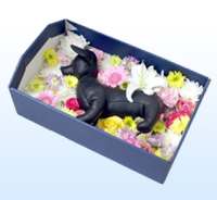 ペット葬儀用花